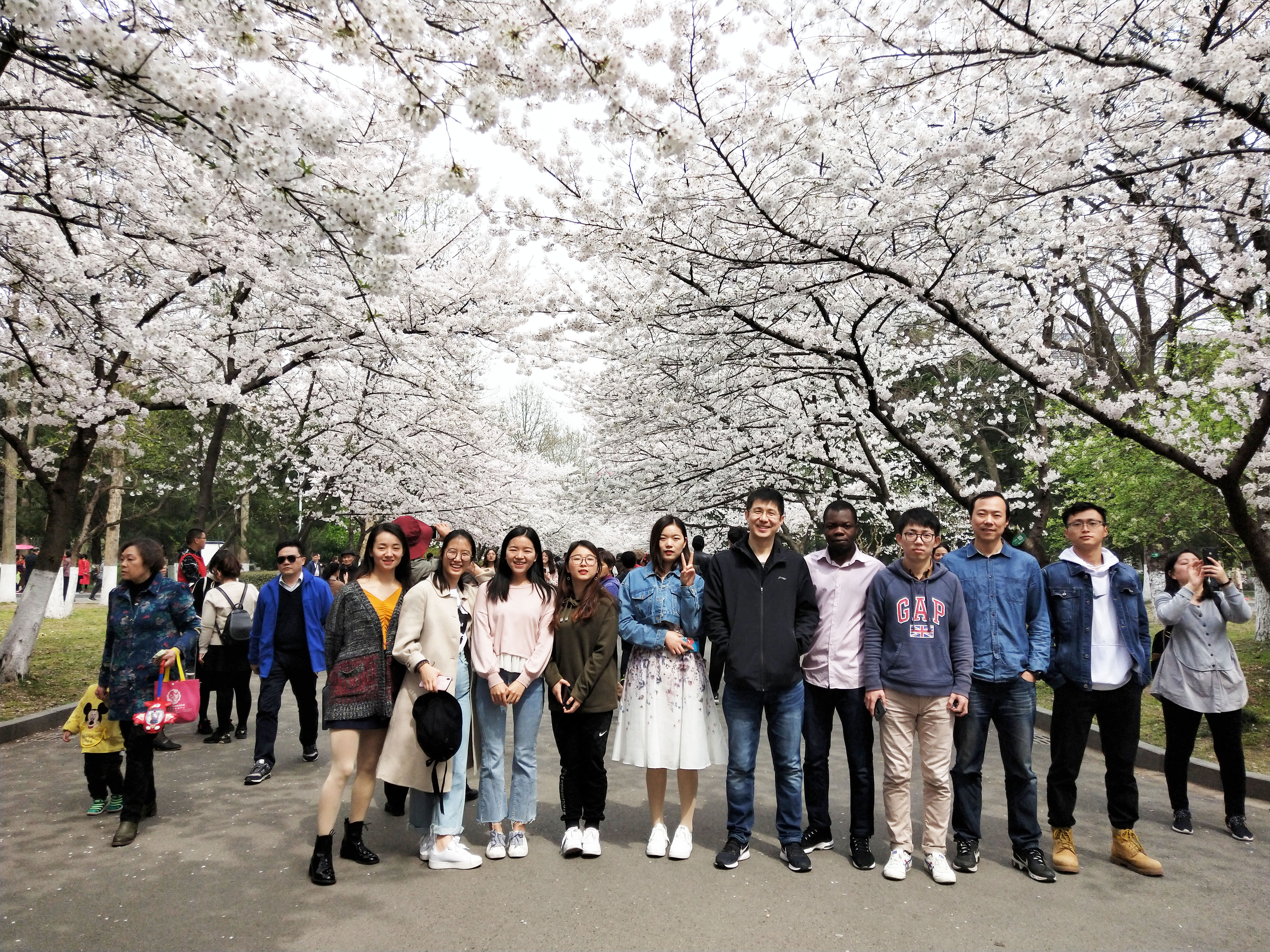 Fan Lab Unveiling The World Of The Microorganisms Nanjing Forestry University